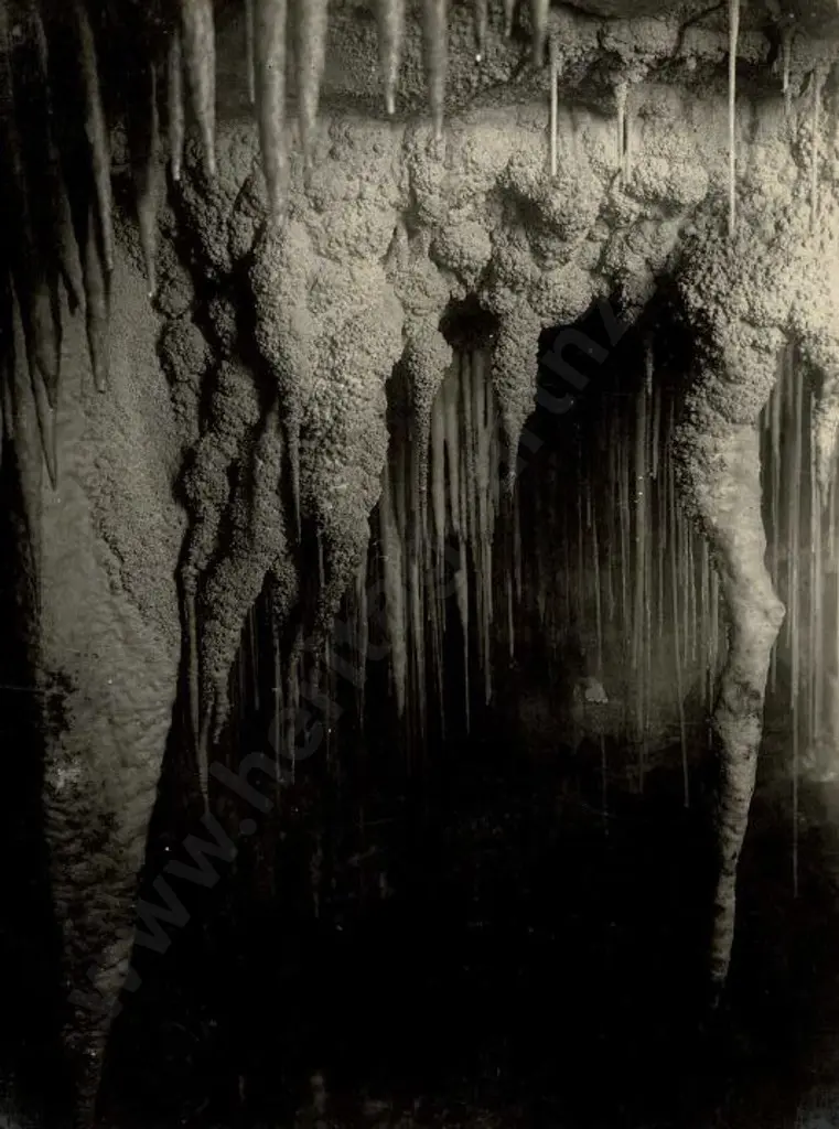 NZ GOVT PUBLICITY (Early 20th Cent.) - Stalactites, Waitomo Caves, c.1910 Image 1++