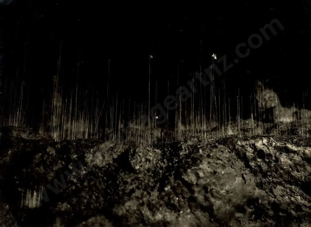 NZ GOVT PUBLICITY (Early 20th Cent.) - Waitomo Caves, c.1910 Image 1++