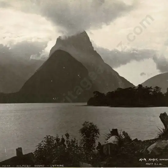MUIR & MOODIE - Dunedin (1898-1916) - Mitre Peak, Milford Sound, Evening - Jan 1901