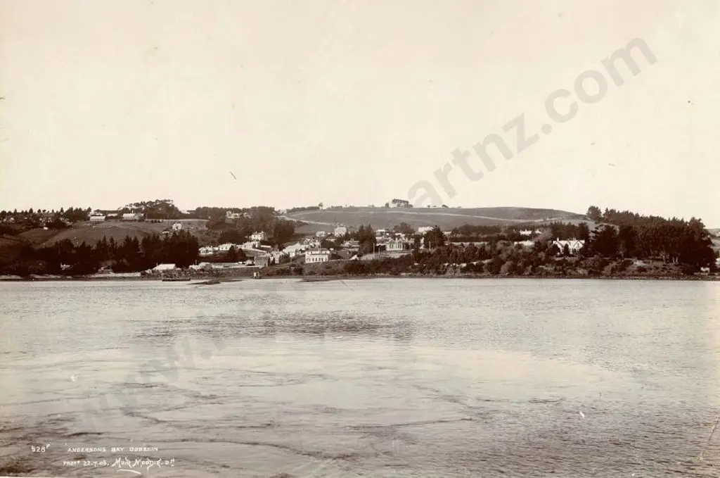 MUIR & MOODIE - Dunedin (1898-1916) - Anderson's Bay, Dunedin ,22 July 1905 Image 1++