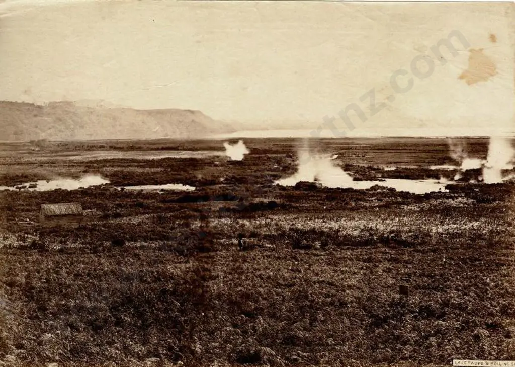 UNKNOWN - Lake Taupo & Boiling Springs, c.1880 Image 1++