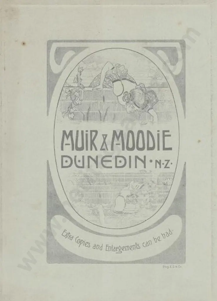 MUIR & MOODIE - Dunedin (1898-1916) - The Arateatea Rapids, c.1900 Image 1++