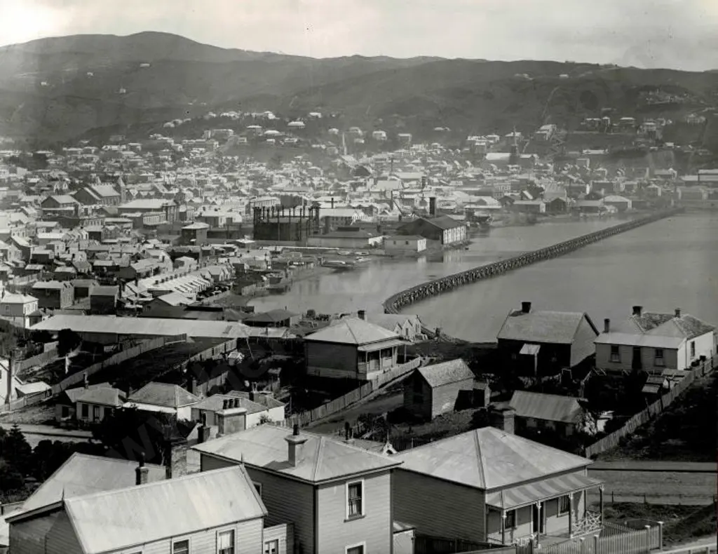 UNKNOWN - Wellington in the 1870s from Mt Victoria Image 1++