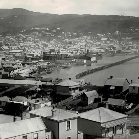UNKNOWN - Wellington in the 1870s from Mt Victoria