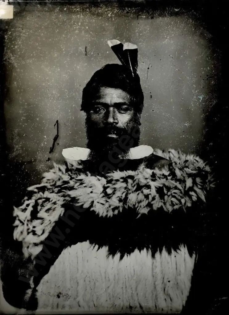 UNKNOWN - Unidentified Maori Warrior Image 1++