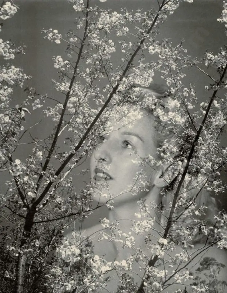 CASBOLT, Frederick Lennard (1896-1987) - Spring - Young Lady Looking at Blossoms Image 1++