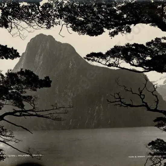 MUIR & MOODIE - Dunedin (1898-1916) - The Lion, Milford Sound c.1903