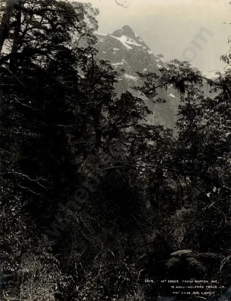 MUIR & MOODIE - Dunedin (1898-1916) - Mount Edgar from Quinton Hut, 1908 Image 1++