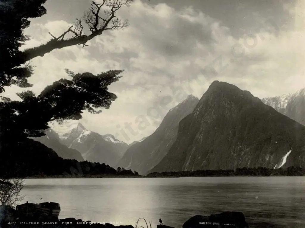 BURTON BROS - Dunedin (1870s-1890s) - Milford Sound from Deepwater Basin, c.1897 Image 1++