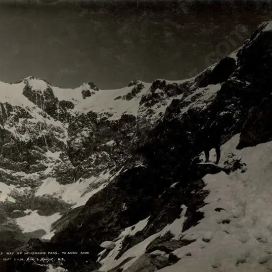 MUIR & MOODIE - Dunedin (1898-1916) - Half Way Up McKinnon Pass, Te Anau Side, 1908
