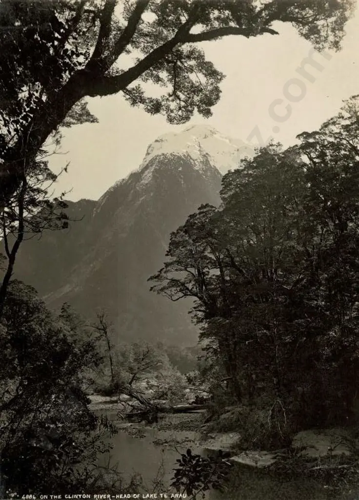 BURTON BROS - Dunedin (1870s-1890s) - On the Clinton River - Head of Lake Te Anau, c.1897 Image 1++