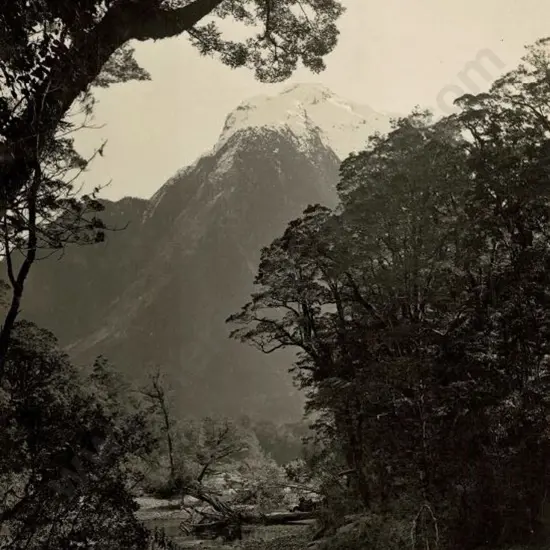 BURTON BROS - Dunedin (1870s-1890s) - On the Clinton River - Head of Lake Te Anau, c.1897