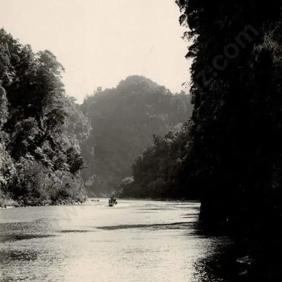 NZ GOVT PUBLICITY (Early 20th Cent.) - Tuwhaka Aireau, Aratira Reach, Wanganui River, c.1910