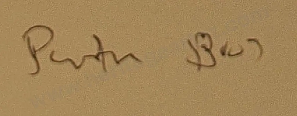 BURTON BROS - Dunedin (1870s-1890s) - Pink Terraces, c. 1880 Image 1++