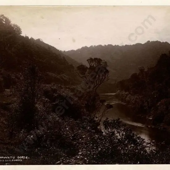 BURTON BROS - Dunedin (1870s-1890s) - Manawatu Gorge, c.1880