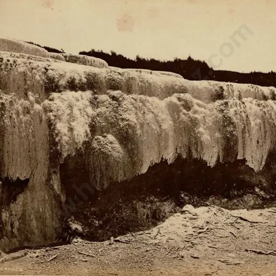 BURTON BROS - Dunedin (1870s-1890s) - Pink Terraces, c. 1880