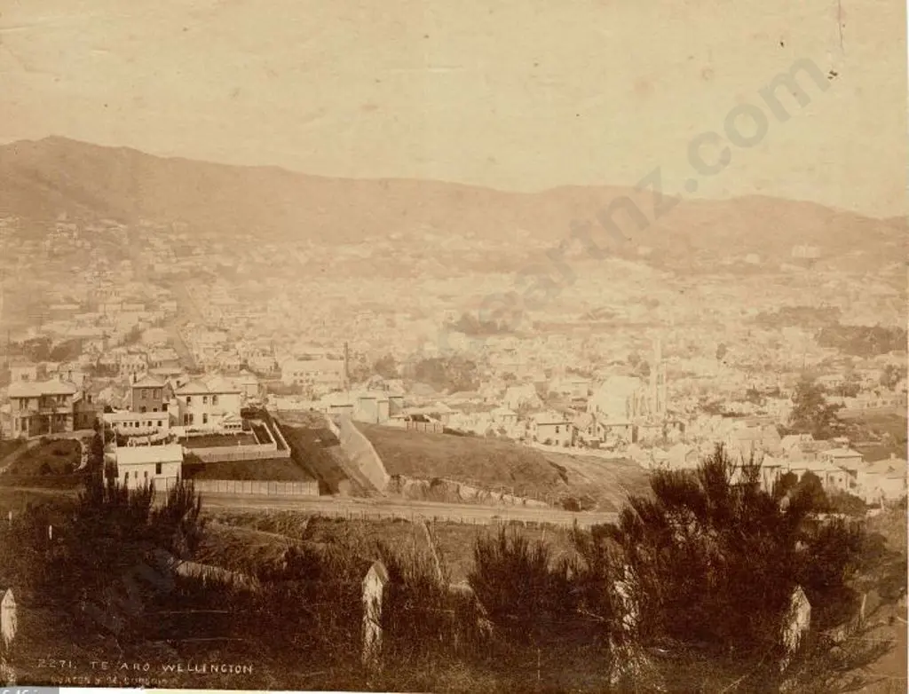 BURTON BROS - Dunedin (1870s-1890s) - Te Aro, Wellington, c.1880 Image 1++
