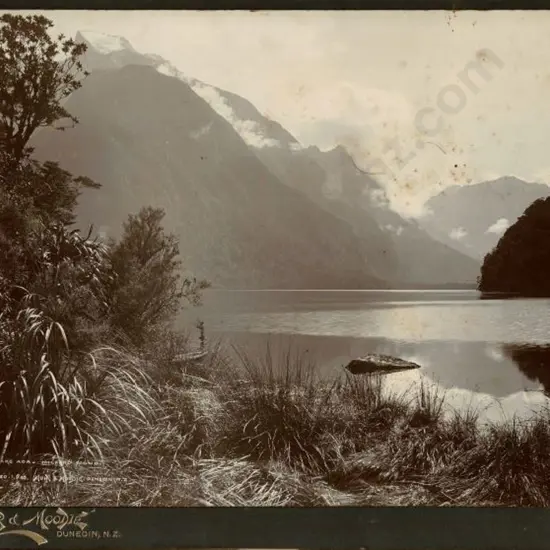 MUIR & MOODIE - Dunedin (1898-1916) - Lake Ada - Milford Sound, c.1900