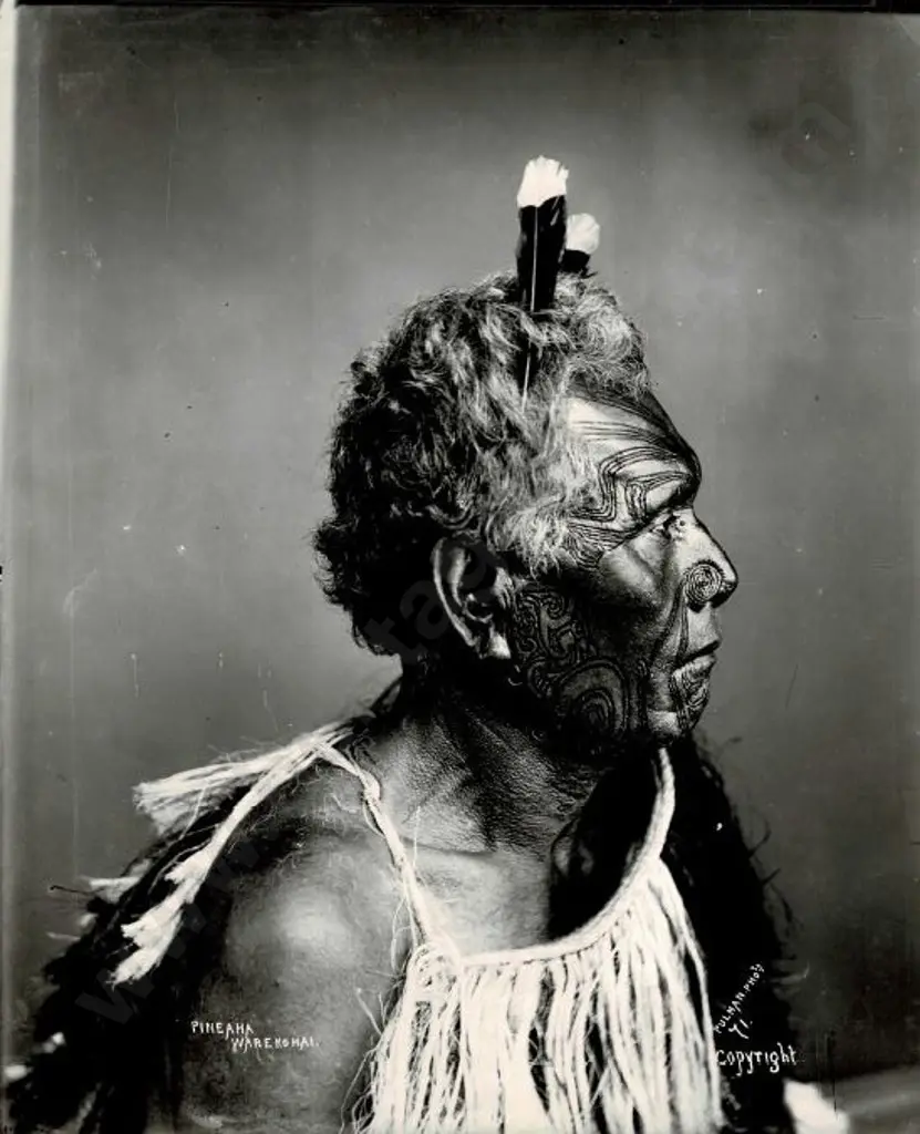 PULMAN, Elizabeth (1836-1900) - Pineaha Warekohai - Maori Warrior, Chief Image 1++