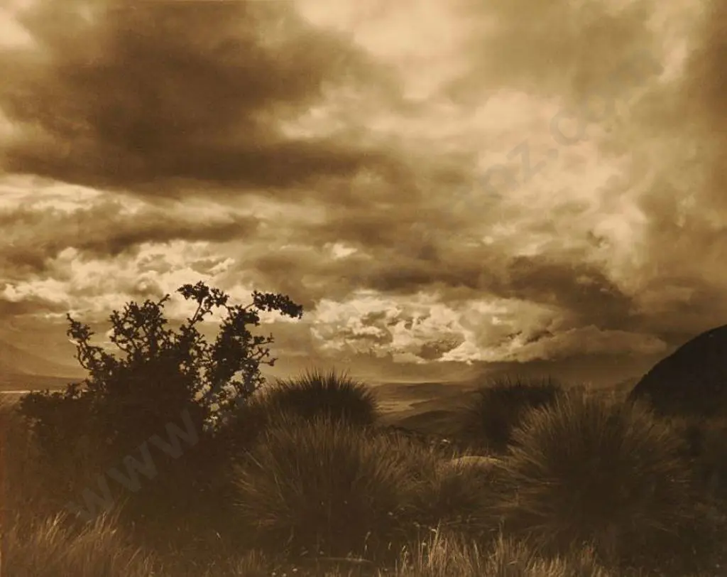 CASBOLT, Frederick Lennard (1896-1987) - West Coast Shoreline with Tussoc Image 1++