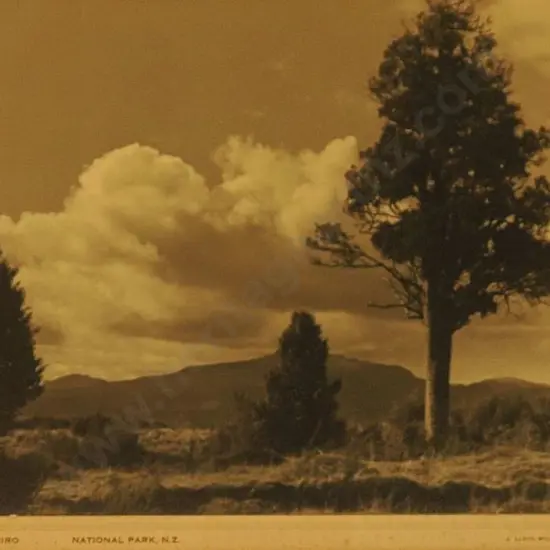 WILSON, James Lloyd (1915-1980) - Tongariro National Park