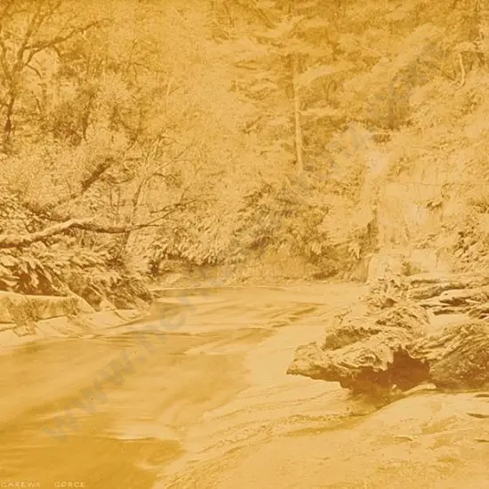 BURTON BROS - Dunedin (1870s-1890s) - Mongarewa Gorge, c. 1880-1890