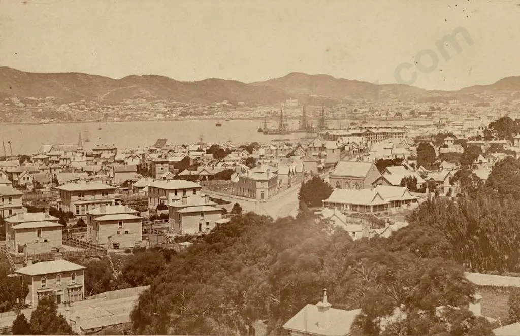 BRAGGE, James (1833-1908) - Wellington from Wadestown Road, 1877 Image 1++