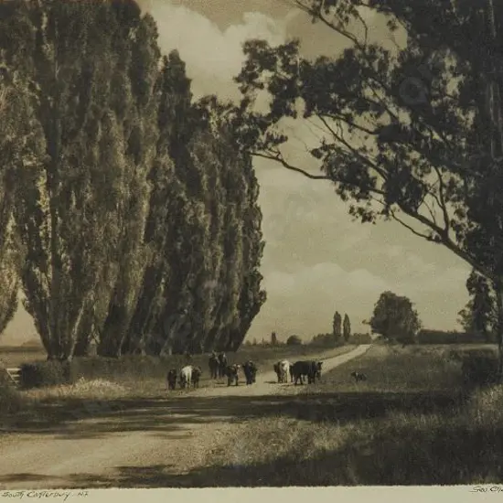 CHANCE, George (1885-1963) - Summer Day, South Canterbury