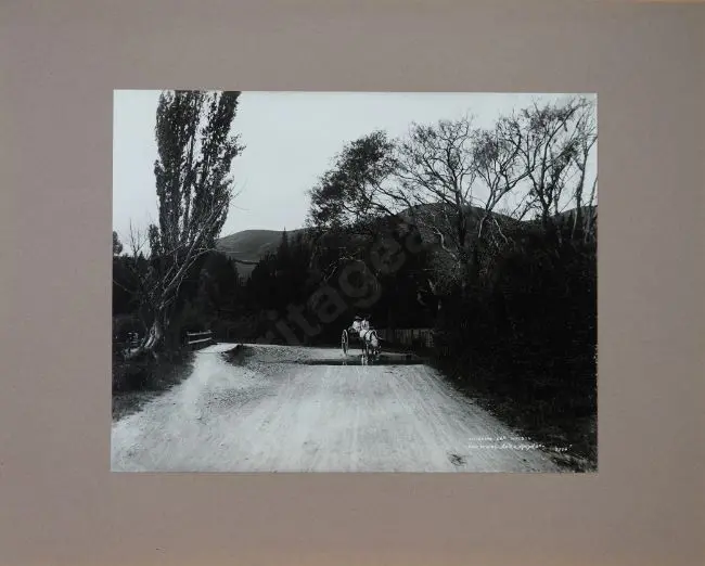 MUIR & MOODIE - photographers (1898-1916) - Oldham's Creek Nelson, 10th February 1906 Image 1++