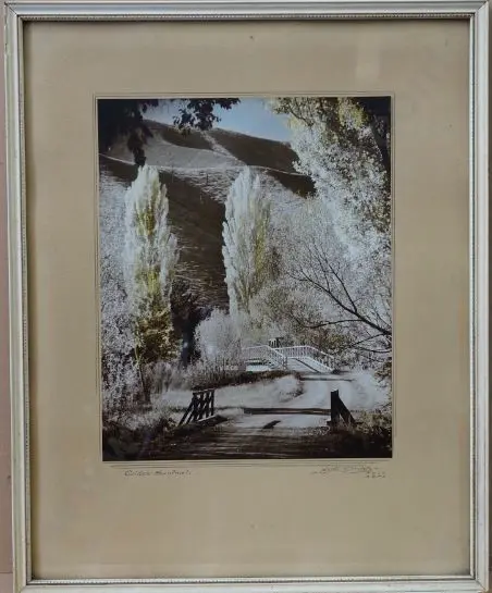 DUDGEON, Ellis (1905-1979) - Golden Sentinels, c.1933 Image 1++