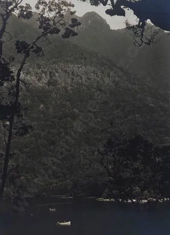 UNKNOWN Photographer - Wet Jacket Arm, Dusky Sound Image 1++