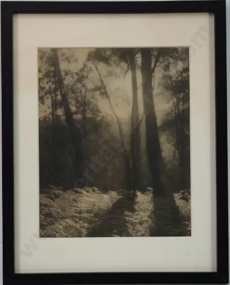 UNKNOWN - Atmospheric Forest Scene c. 1940 Image 1++