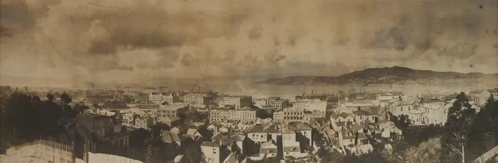 UNKNOWN - Wellington Panorama (ex Hardwicke Knight Collection) Image 1++