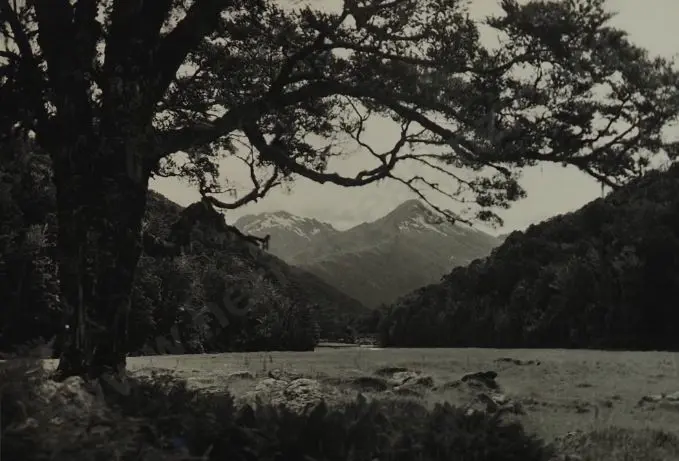 PANCKHURST, Mrs (Early-mid 20th Century) - Southern Alps, River and Bush Image 1++