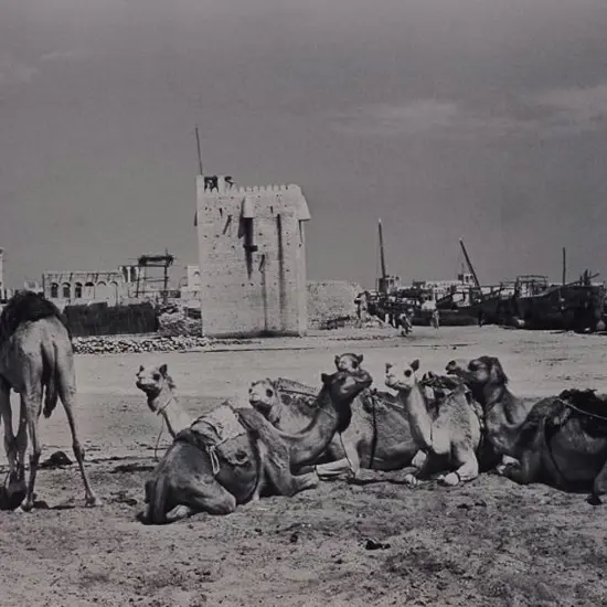 UNKNOWN photographer - Egypt with Camels & Boats