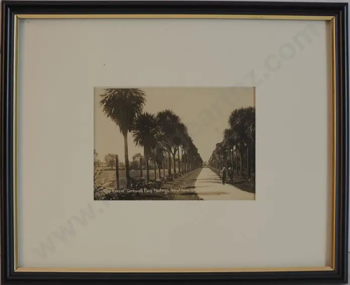 UNKNOWN photographer - The Avenue, Cornwall Park, Hastings c. 1905 Image 1++