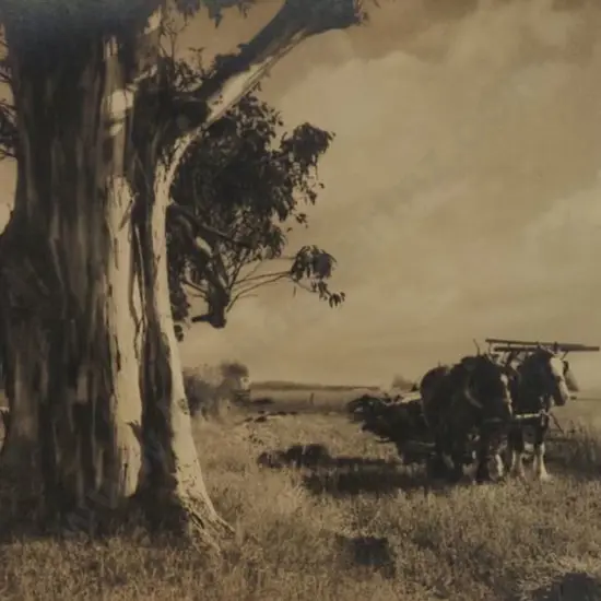 CHANCE, George (1885-1963) - The Resting Team (Clydesdales)