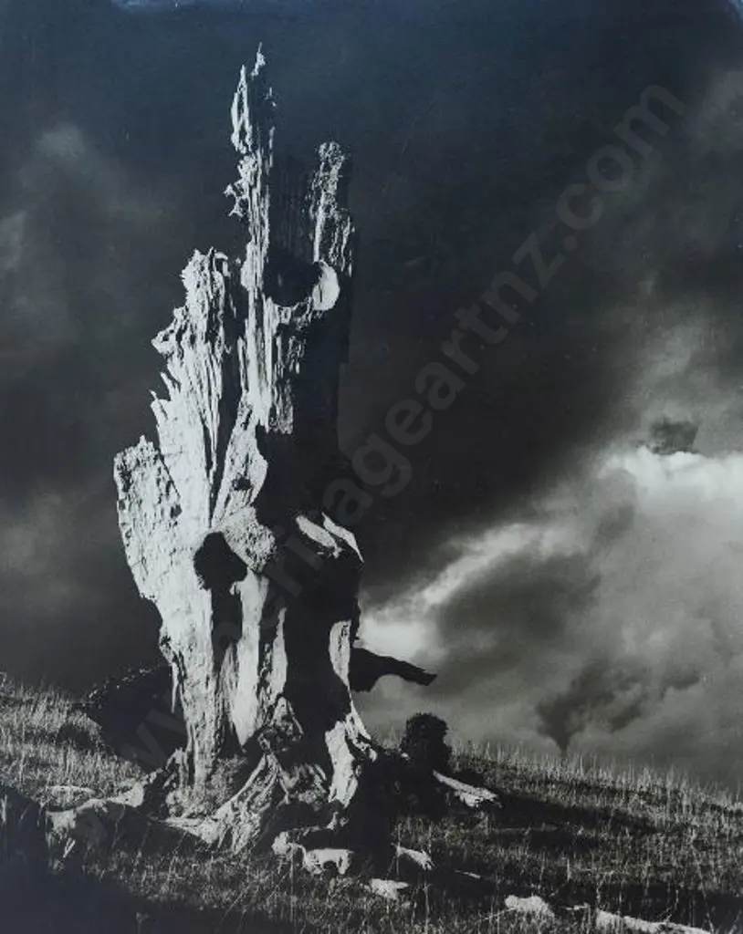 LEWTHWAITE, E.W.G. - Defiant (old Tree) Image 1++