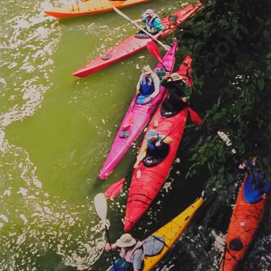 BENNETT, Duncan (contemporary)   - River Journeys