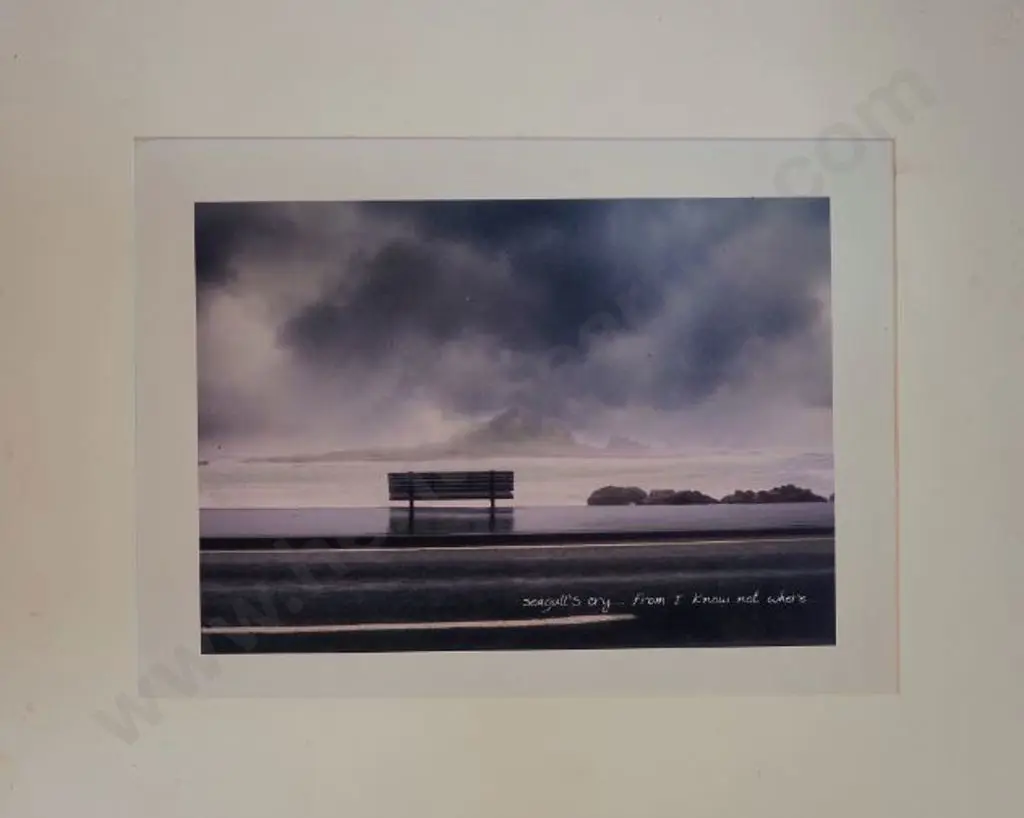 BENNETT, Duncan (contemporary)   - Seagulls Cry - From I Know Not Where Image 1++