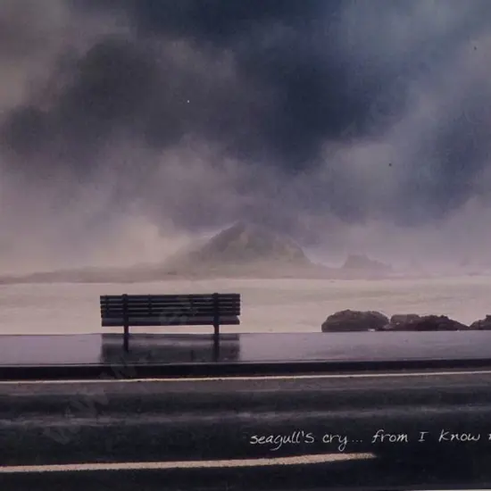 BENNETT, Duncan (contemporary)   - Seagulls Cry - From I Know Not Where