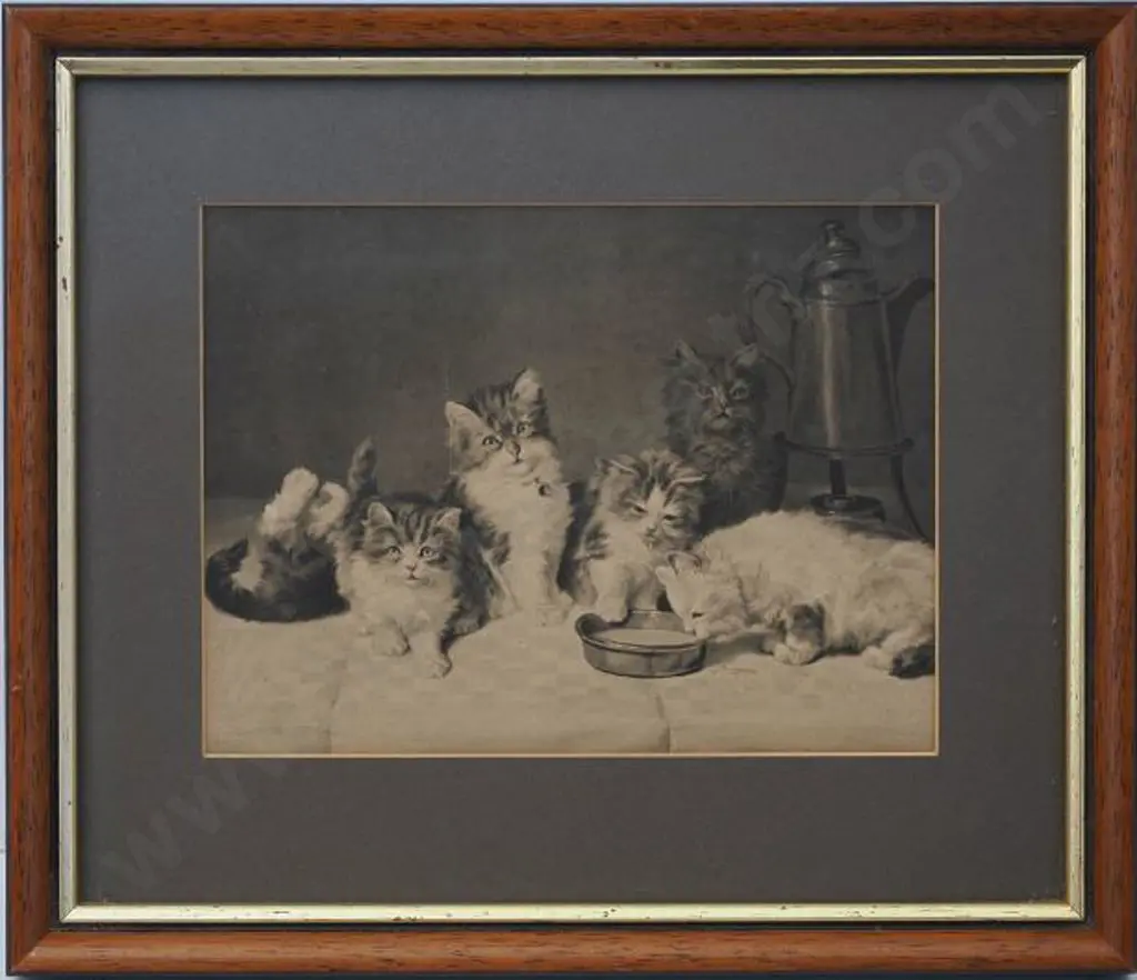 UNKNOWN photographer - Six Frolicking Kittens Image 1++