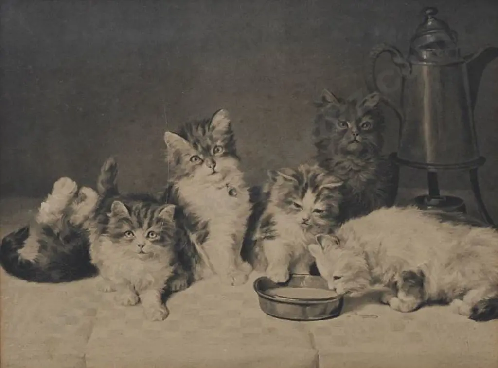 UNKNOWN photographer - Six Frolicking Kittens Image 1++