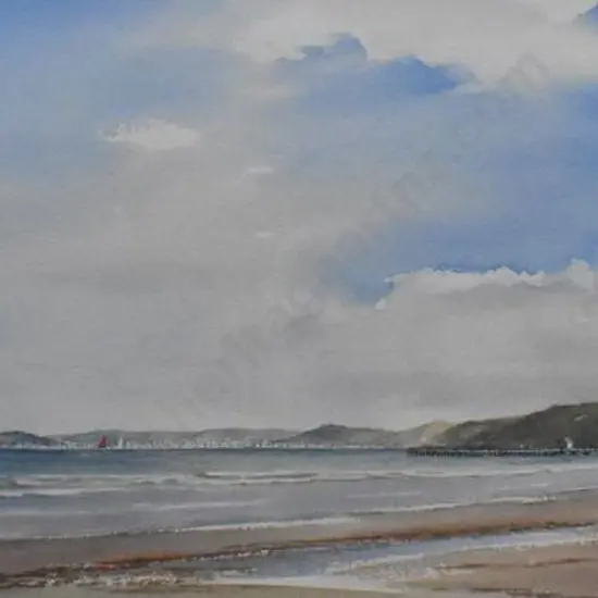 TODD, Guy (Late 20th Cent.) - Breezy Morning, Wellington Harbour