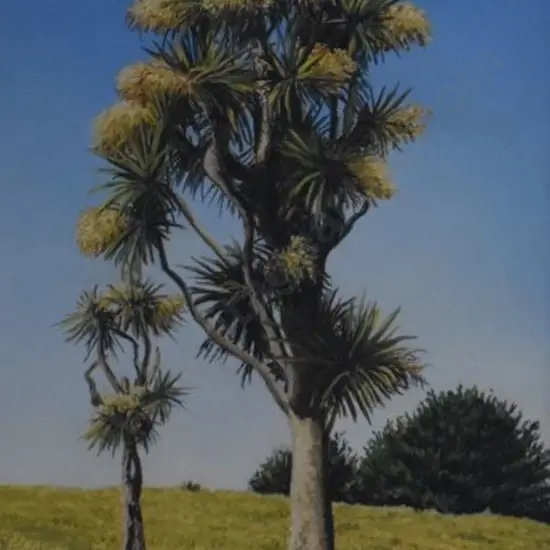 ROSS, Jane (Contemporary) - The Cabbage Tree in Flower