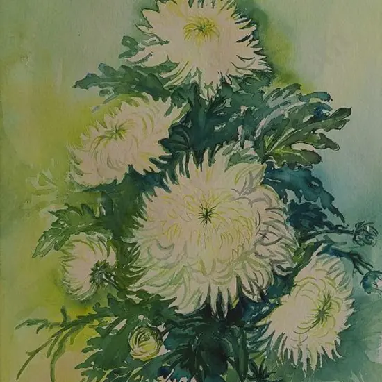 DICKISON, Annette (21st Cent.) - Chrysanthemums