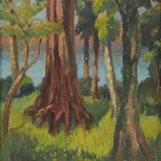 COHN, Gustav (1942-) - Kauri Tree and Sea