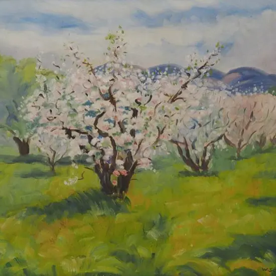 SEVILLE, W. - Trees in Blossom in Grove