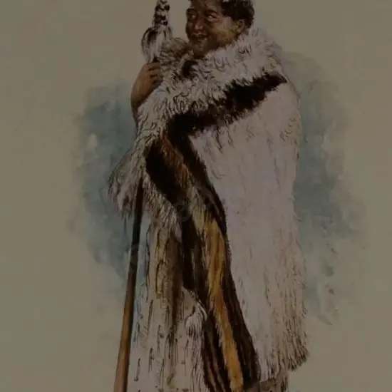 ANGAS, George French (1822-1886) - Tamati Waka Nene